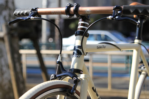 surly1