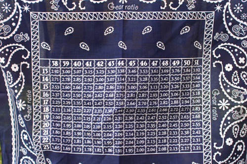 bandana3