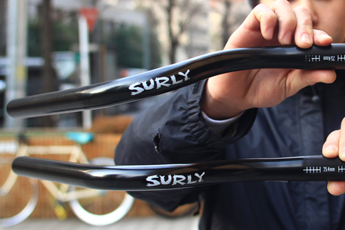 surly6