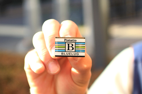 pins1
