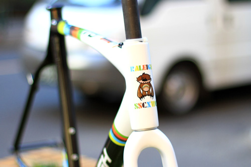 raleigh2