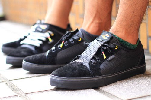 dvs3