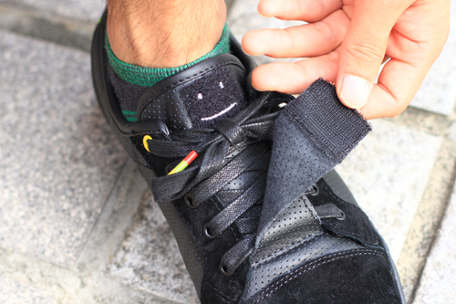 dvs5