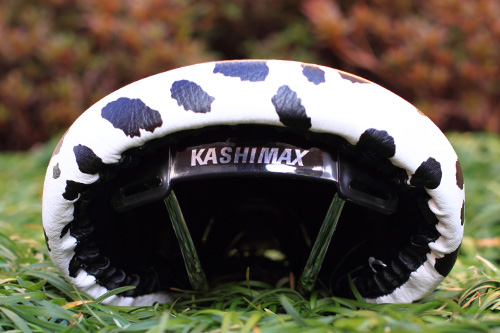 kashimax6