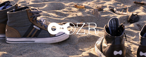 dzr_logo