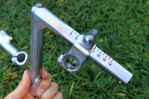 nittostem1