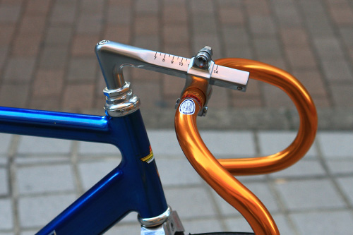 nittostem2