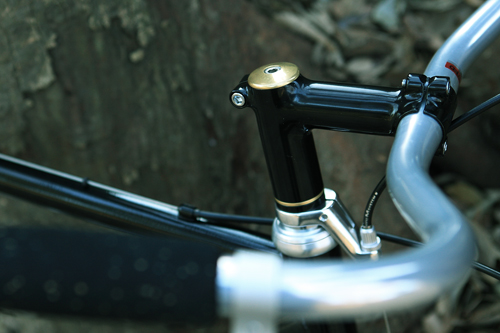 nitto2