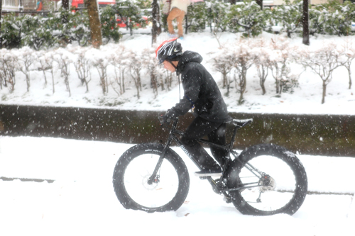 fatbike2 fatbike2