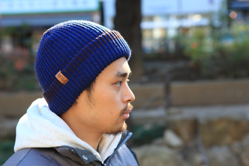 polercap1 polercap1