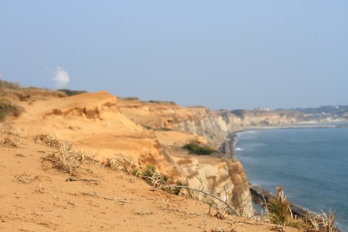 DPP_00000029
