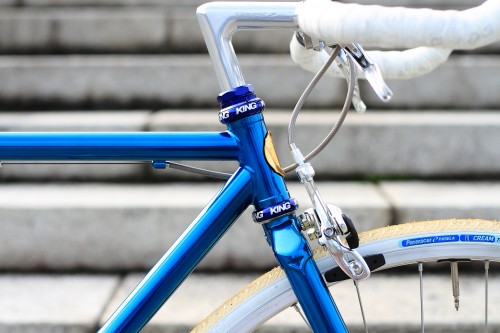 DPP_008 DPP_008