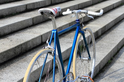 DPP_013 DPP_013