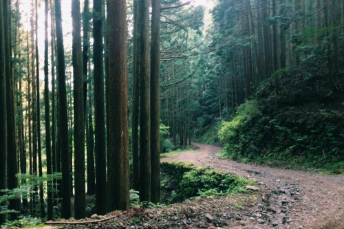 IMG_0234 IMG_0234