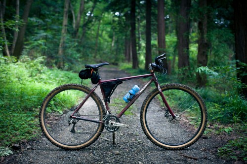 IMG_6874 IMG_6874