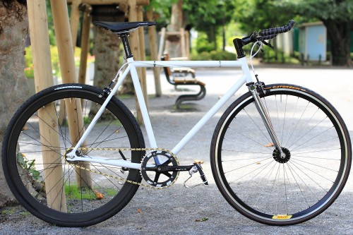 DPP_001 DPP_001