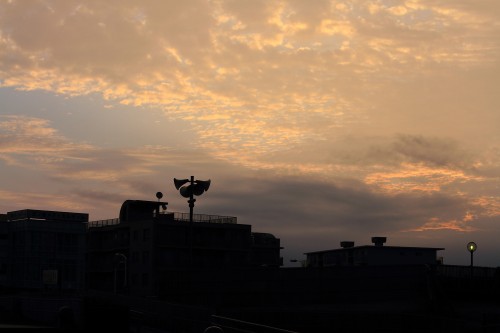 DPP_002 DPP_002