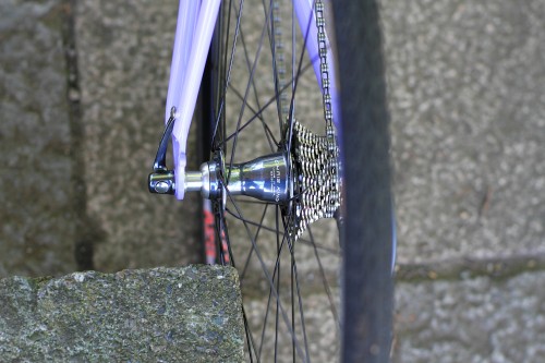 DPP_006 DPP_006