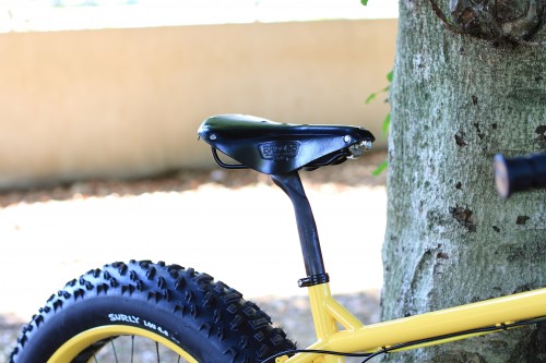 DPP_0008 DPP_0008