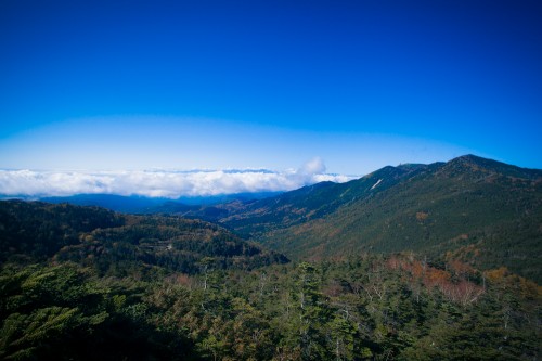 IMG_0493 IMG_0493