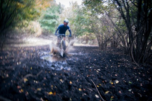 IMG_4681 IMG_4681