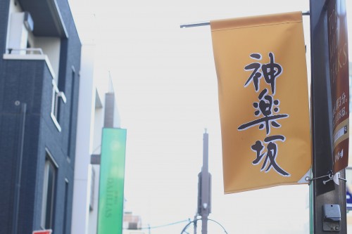 DPP_0000029