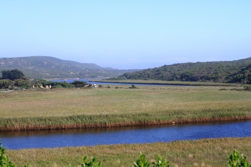 DPP_000013 DPP_000013