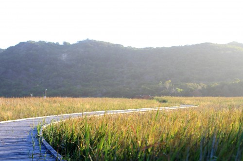 DPP_000018 DPP_000018