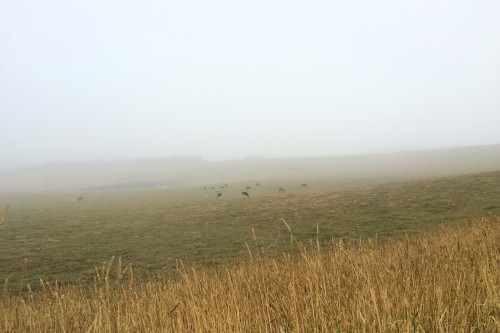 IMG_1640 IMG_1640