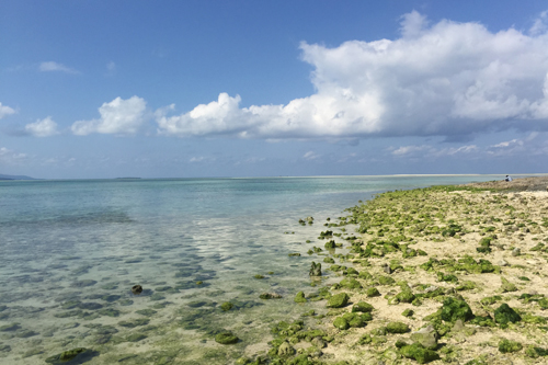 okinawa1 okinawa1