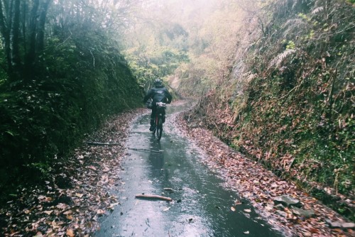 Processed with VSCOcam with c1 preset