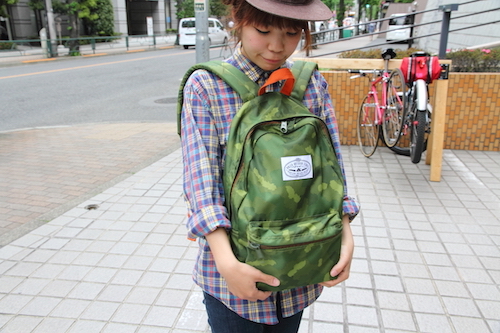 DPP_3534