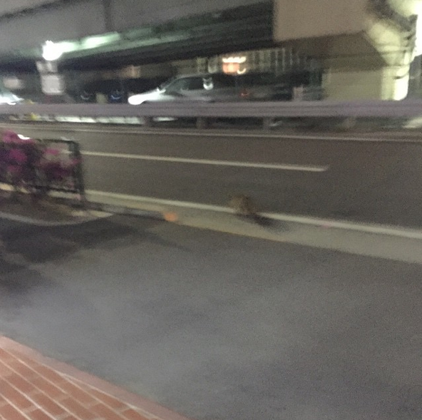 スクリーンショット 2015-05-09 0.39.07