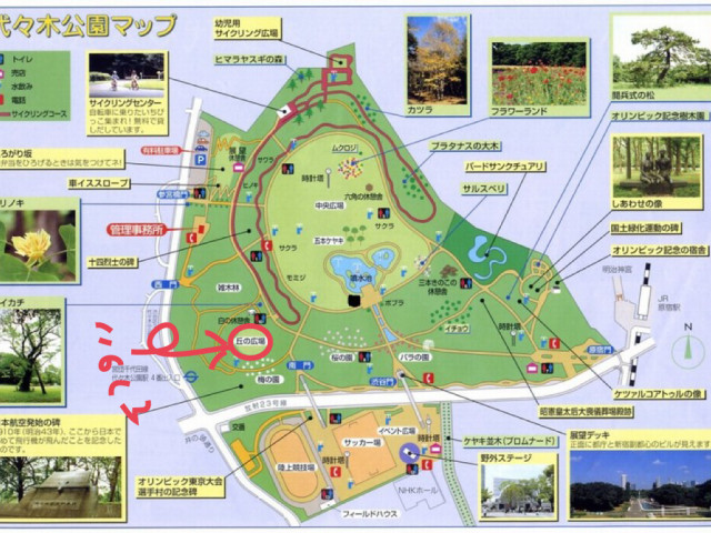 yoyoparklug-640x480