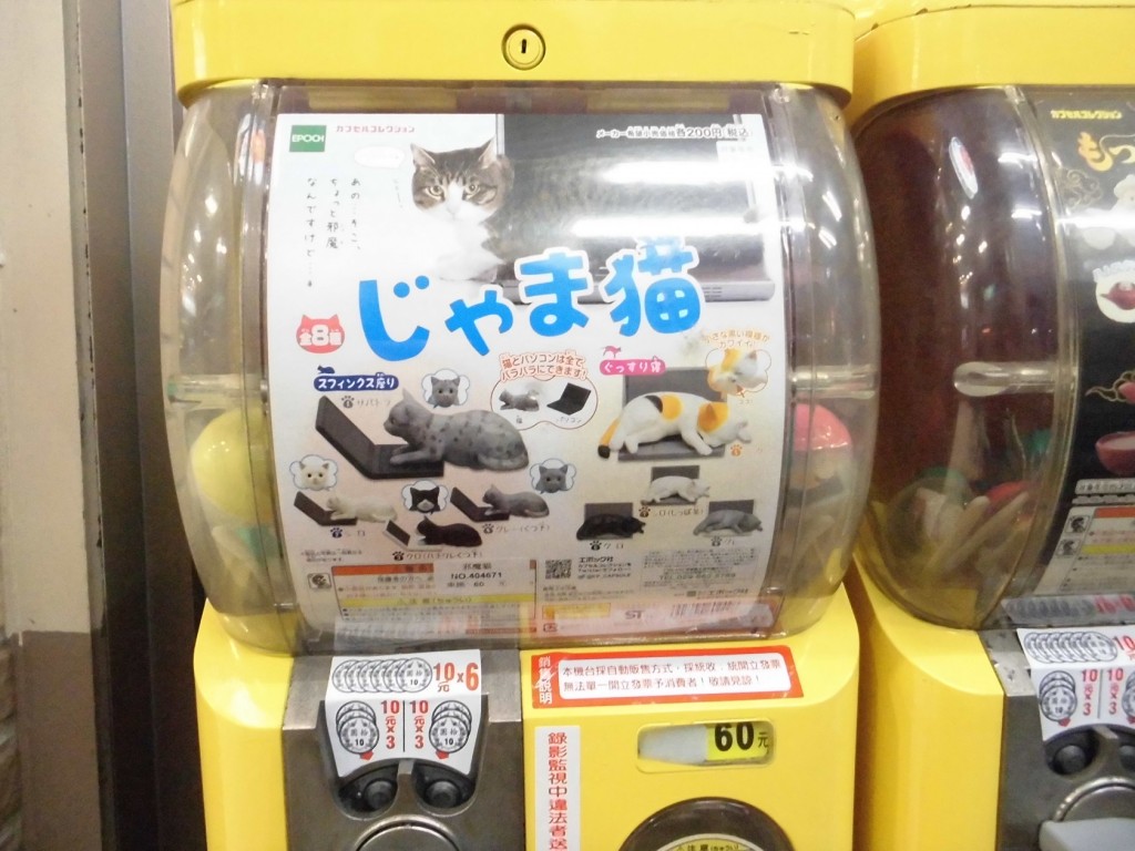 CIMG0477