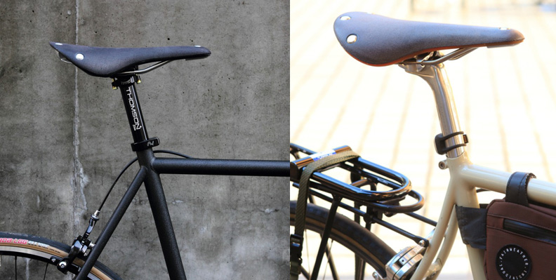 cambium-1