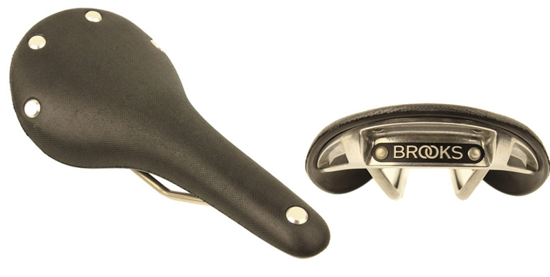 cambium