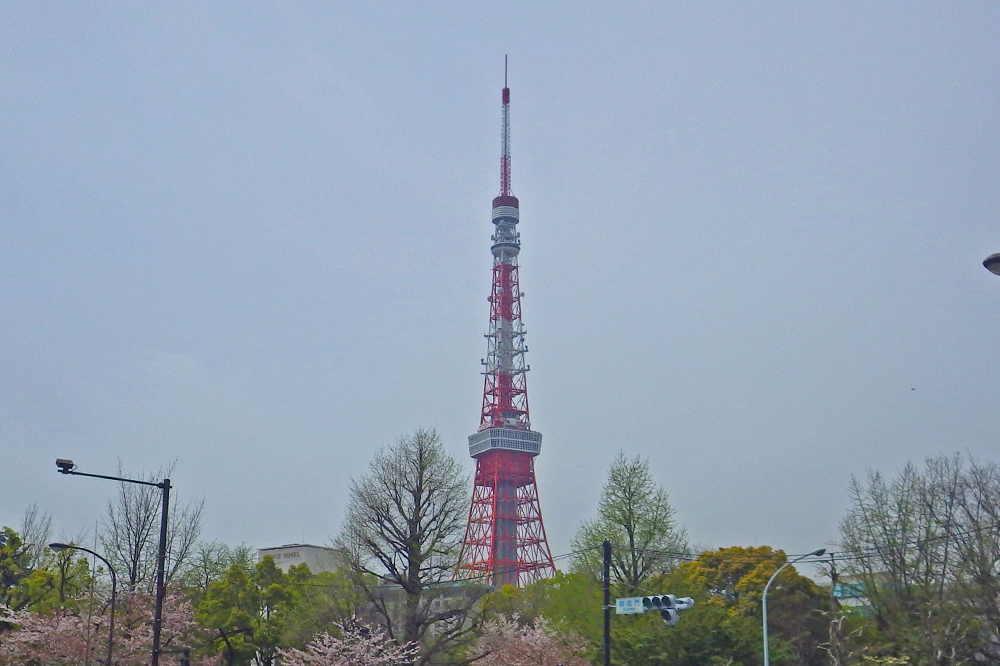 IMGP6421