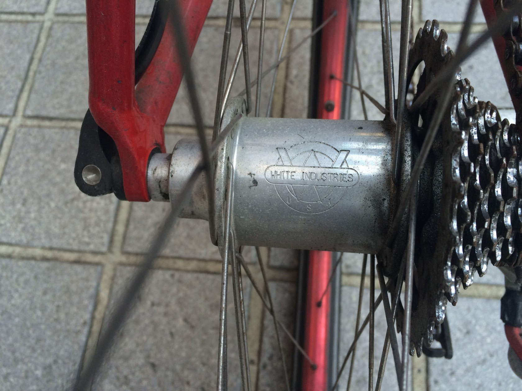 IMG_1586