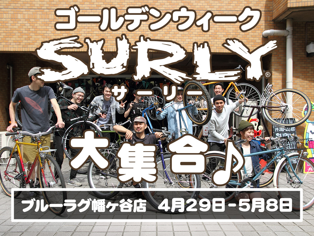 surly-hatagaya