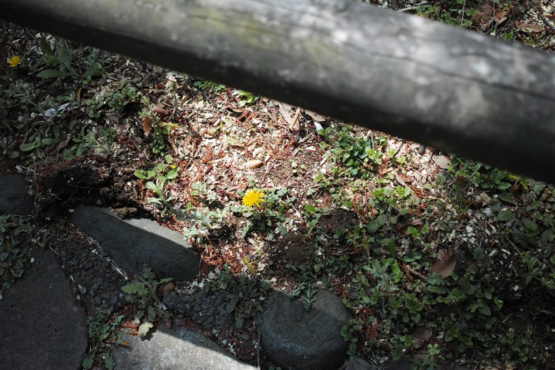 img-5