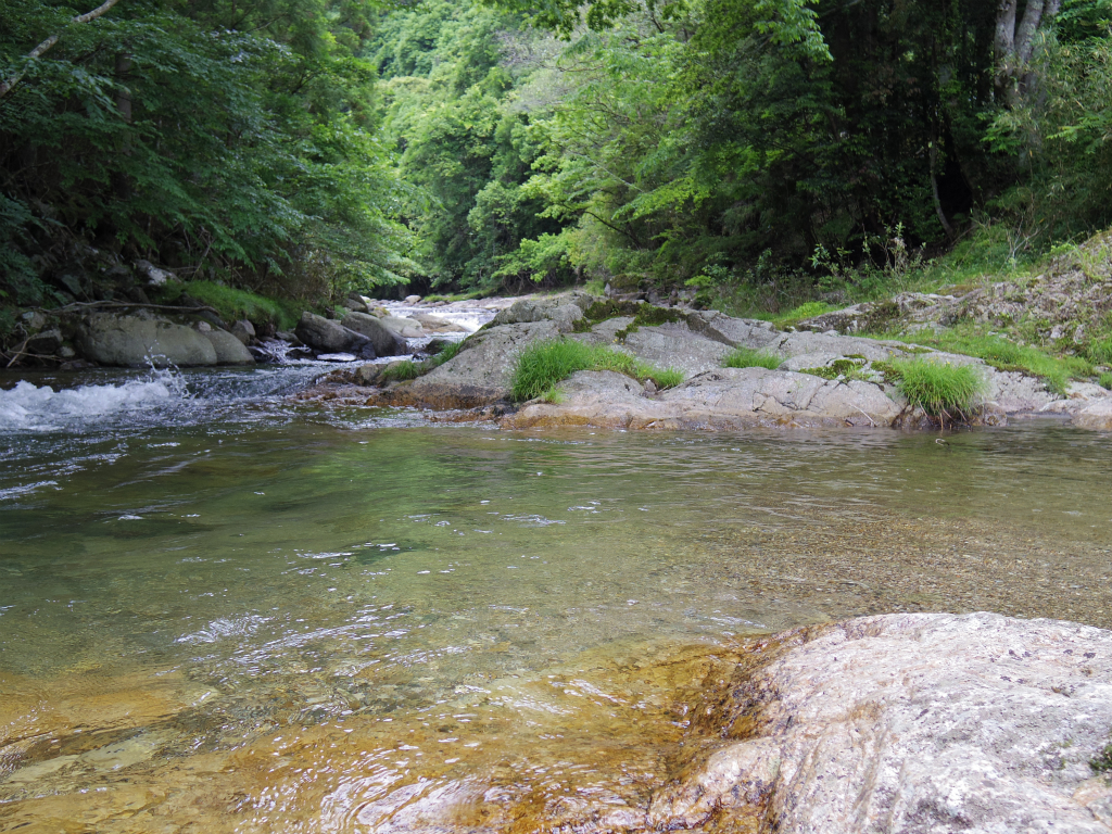 IMGP0984