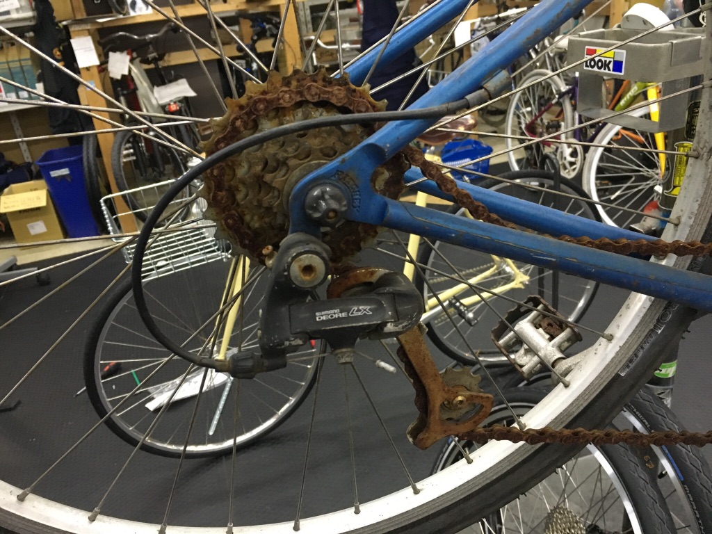 IMG_3503