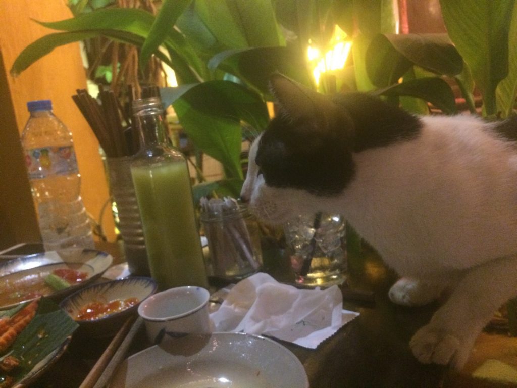IMG_8094[1]