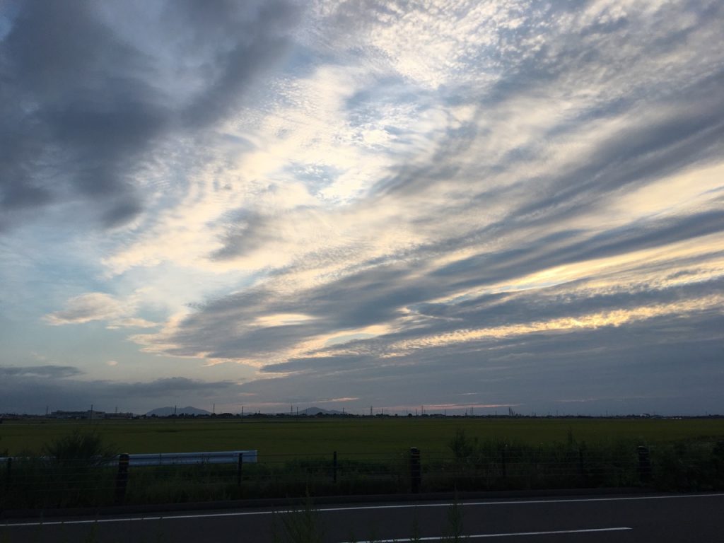 IMG_BE630442FF39-1 3