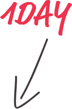 1DAY